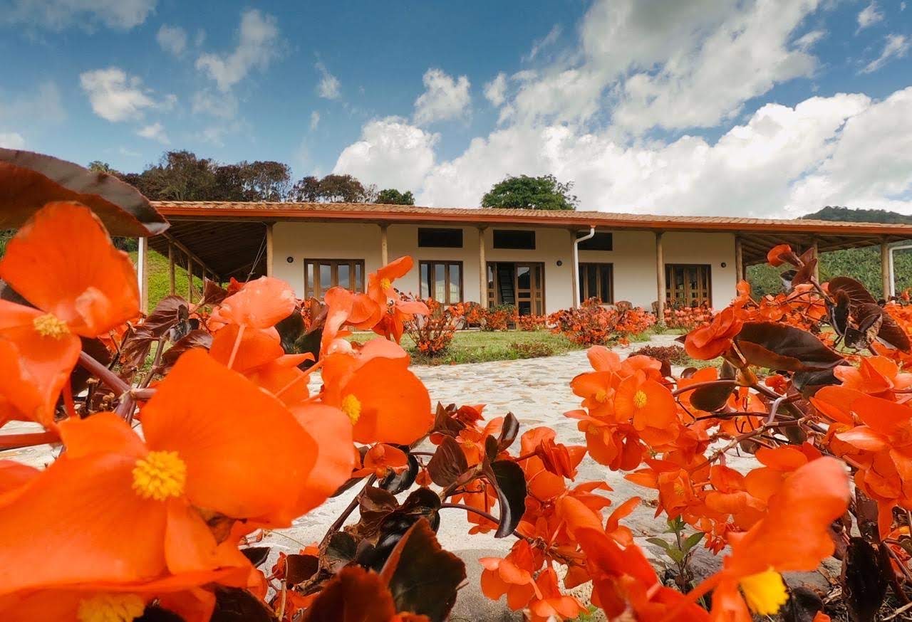 Front view through the gardens