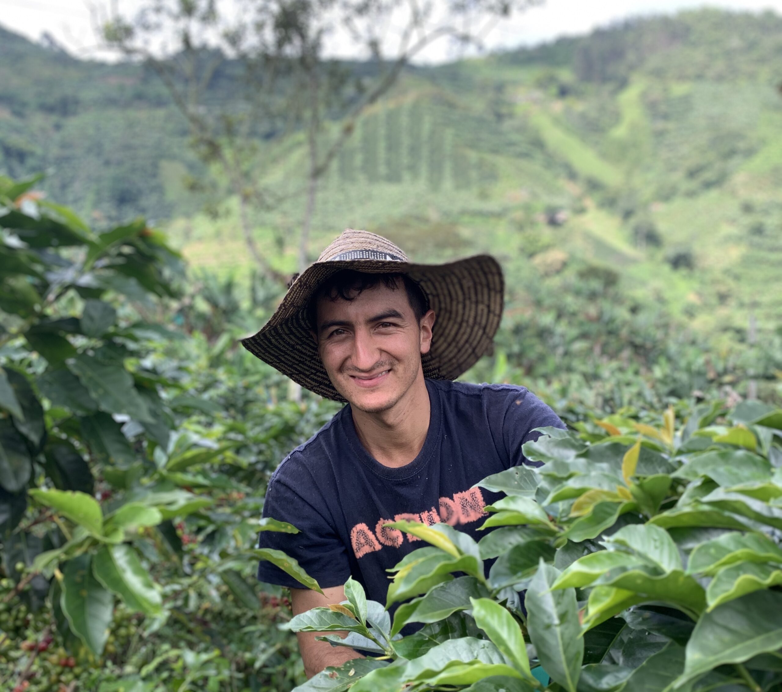 coffee picking with our great team at Finca Mariposa in Jardin