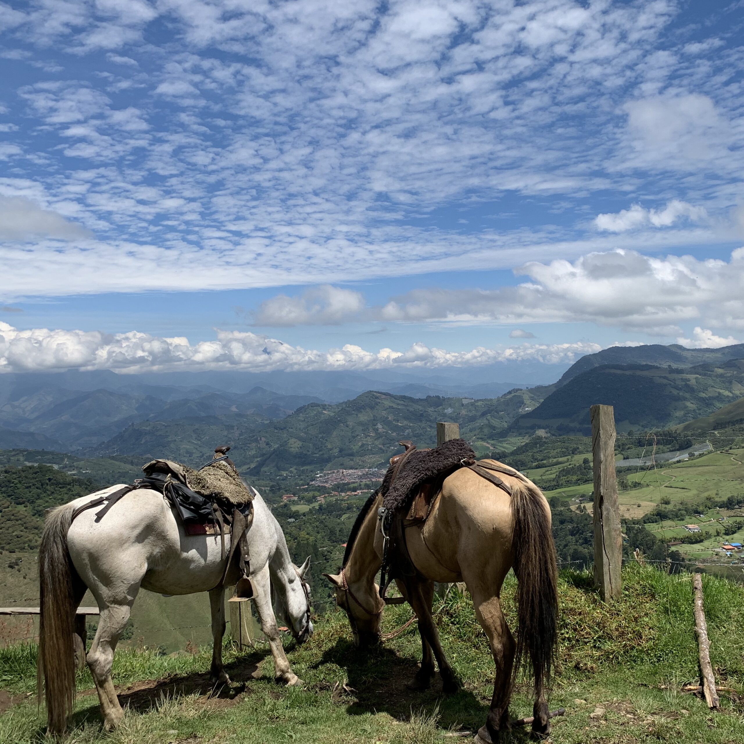 The front patio of Finca Mariposa -A Colombian coffee farm in Jardin Colombia