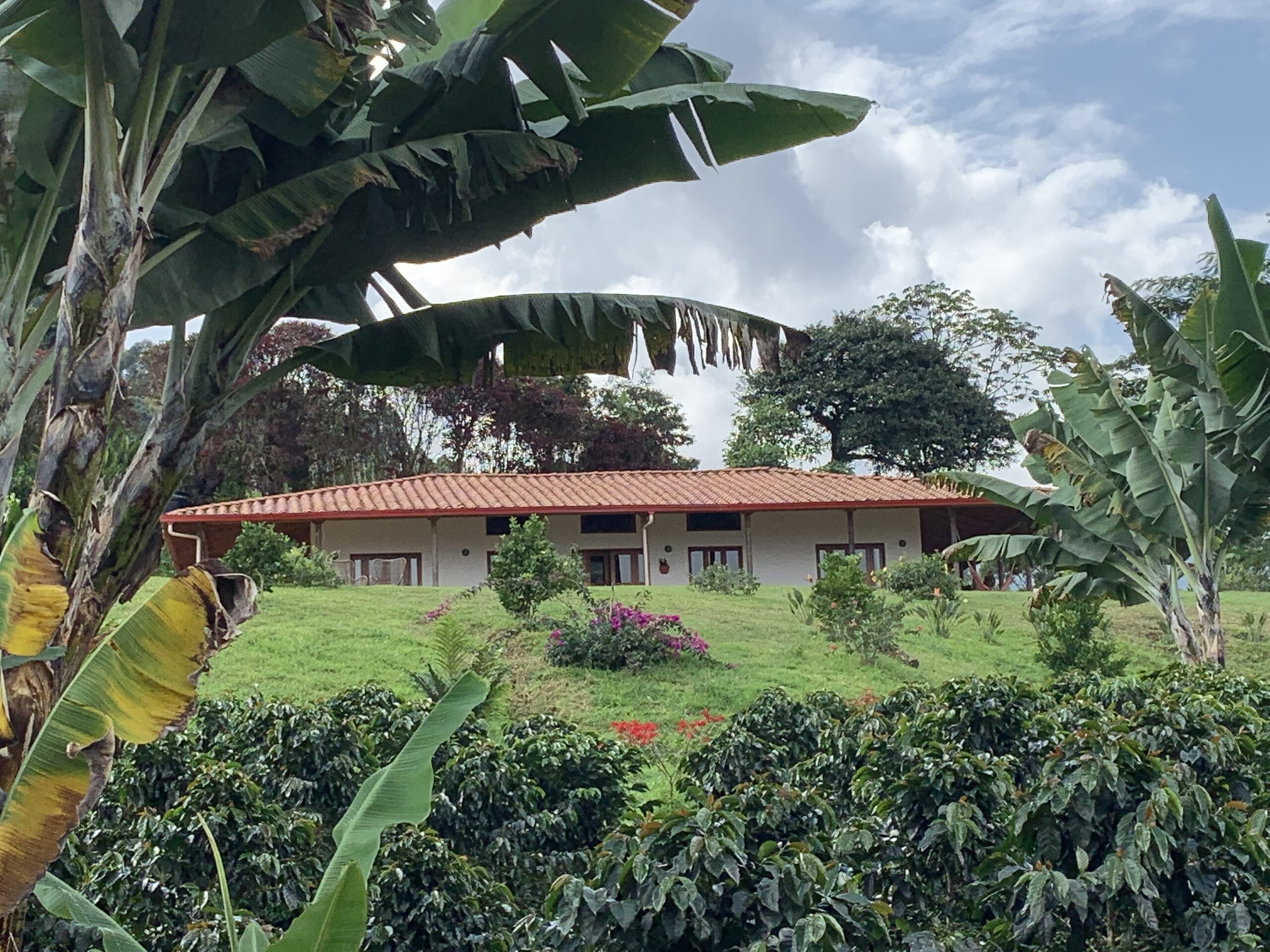 The coffee farm at Finca Mariposa